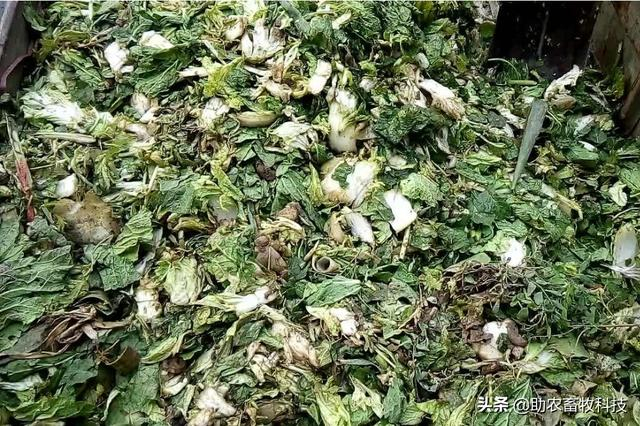 果蔬廢棄物垃圾怎樣進(jìn)行科學(xué)資源化無害化減量化處理？